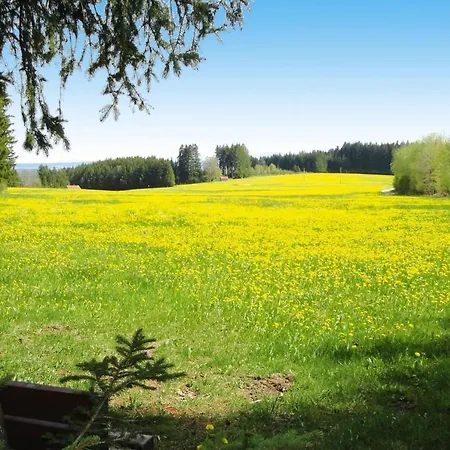 Ferienhof, * Friesenried